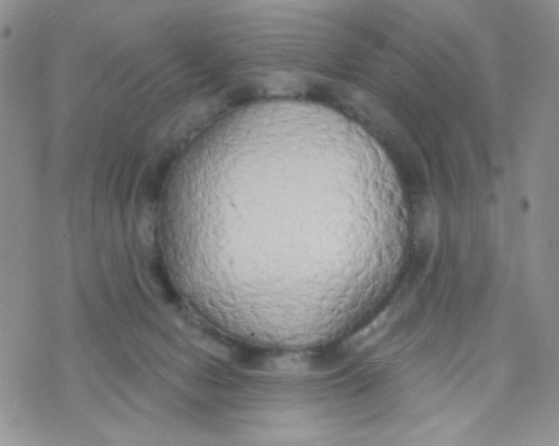 X0000074300078200609151952