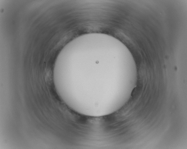 X0000074300079200609151952