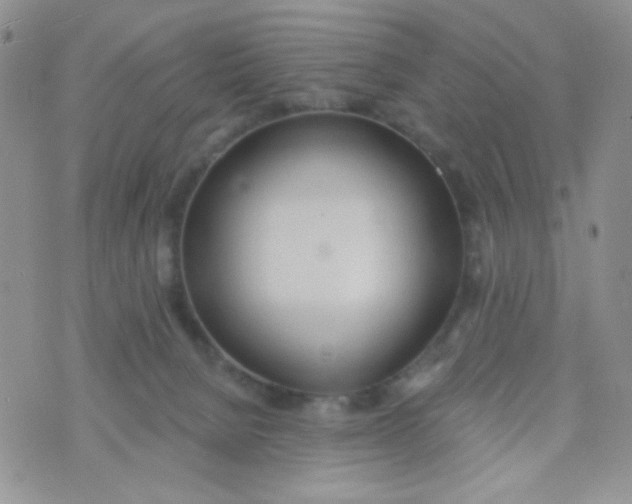 X0000074300080200609151952