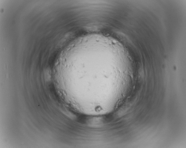 X0000074300081200609151952