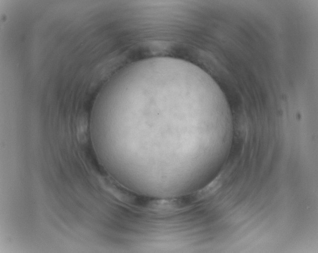 X0000074300082200609151952