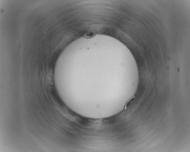 X0000074300083200609151952