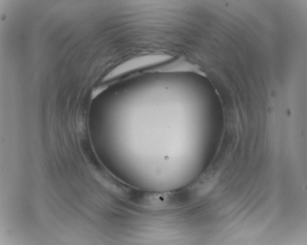 X0000074300084200609151952