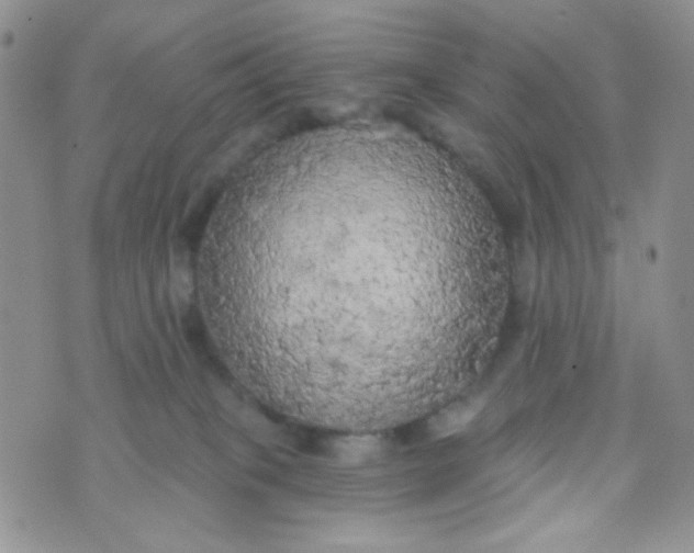 X0000074300085200609151952