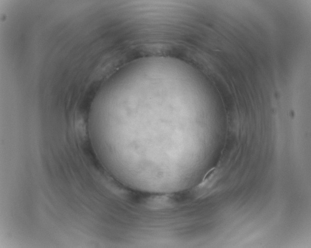 X0000074300086200609151952