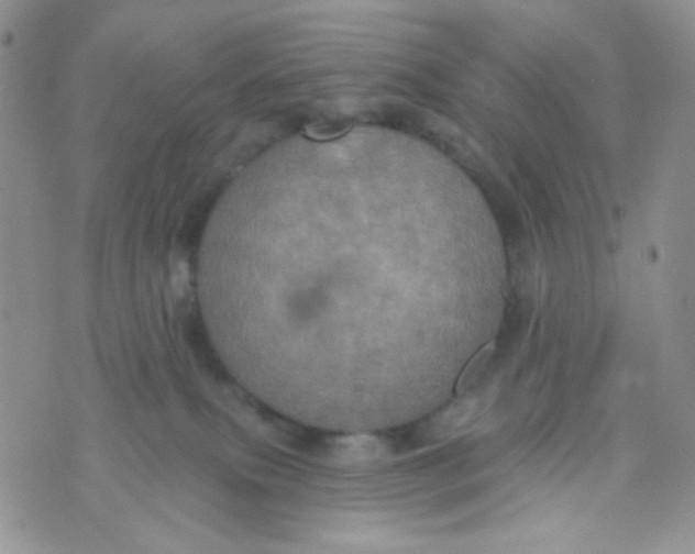 X0000074300087200609151952