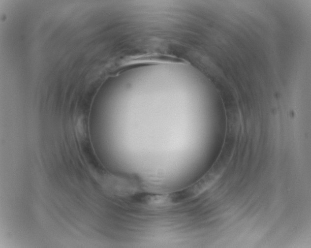 X0000074300088200609151952