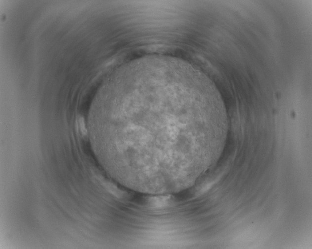 X0000074300089200609151952