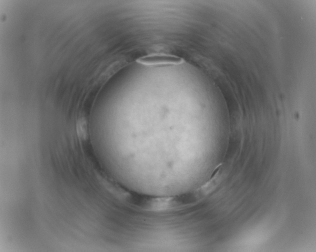 X0000074300090200609151952