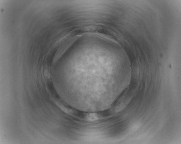 X0000074300091200609151952