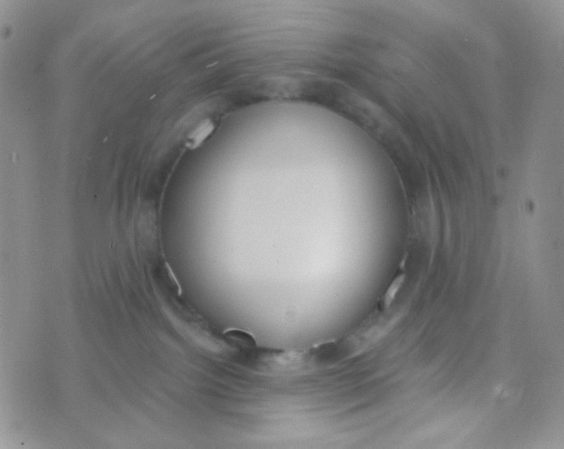 X0000074300092200609151952