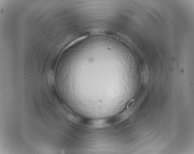 X0000074300093200609151952