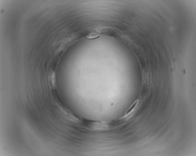 X0000074300094200609151952