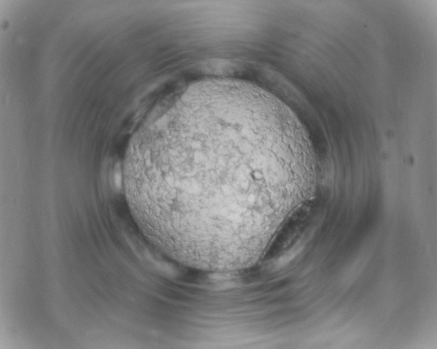 X0000074300095200609151952