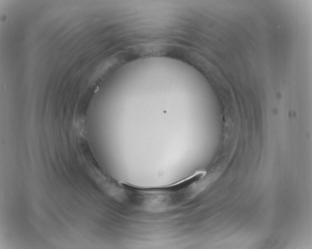 X0000074300096200609151952