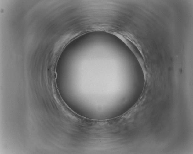 X0000074300097200609151952