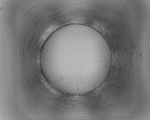 X0000074300098200609151952