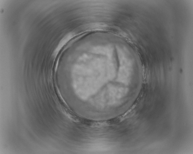 X0000074300099200609151952