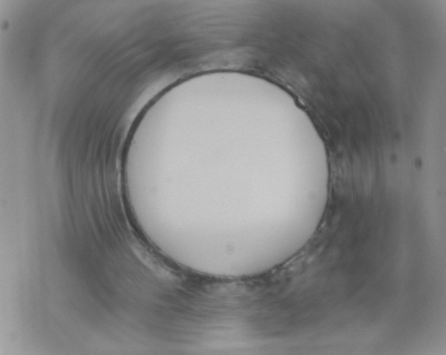 X0000074300100200609151952