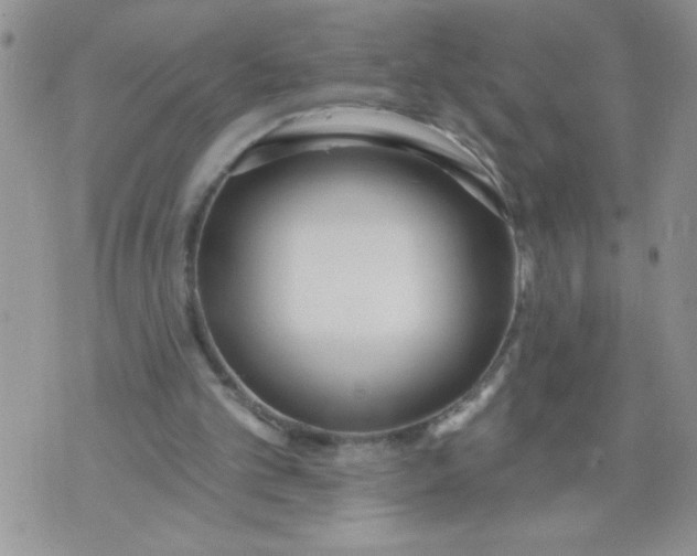 X0000074300101200609151952