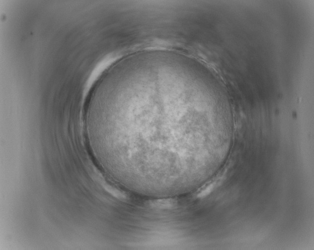 X0000074300102200609151952