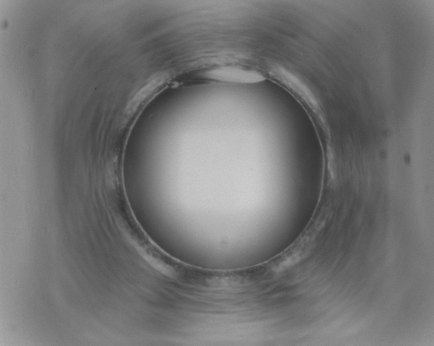 X0000074300105200609151952