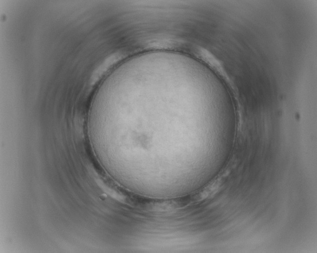 X0000074300106200609151952