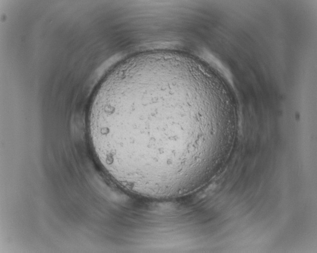 X0000074300107200609151952