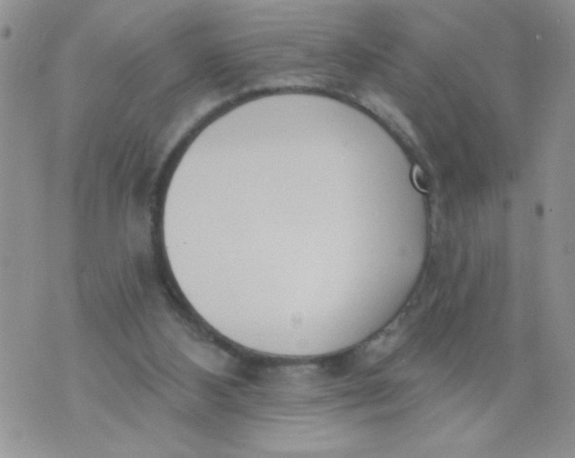 X0000074300108200609151952