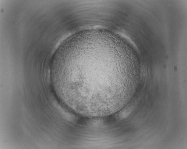 X0000074300110200609151951