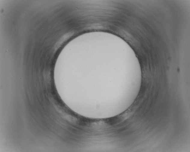 X0000074300112200609151951