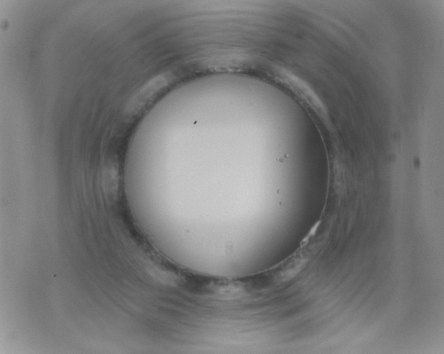 X0000074300113200609151951