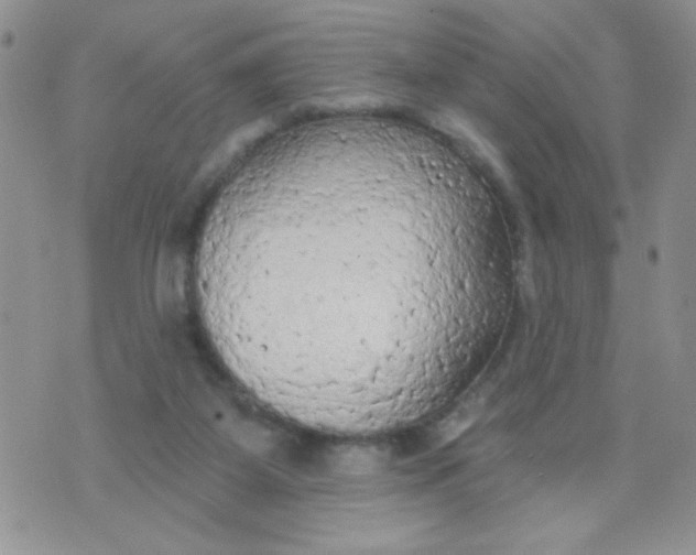 X0000074300115200609151951