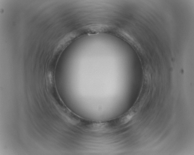 X0000074300117200609151951