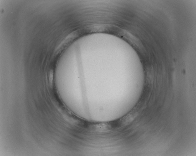 X0000074300118200609151951