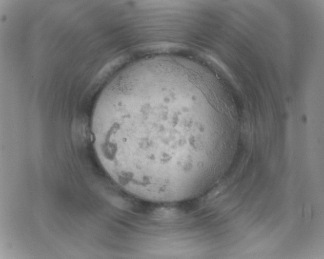 X0000074300119200609151951