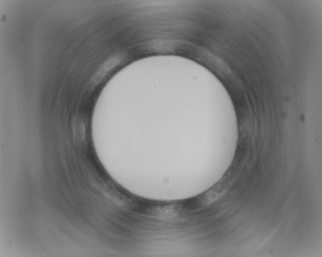 X0000074300120200609151951