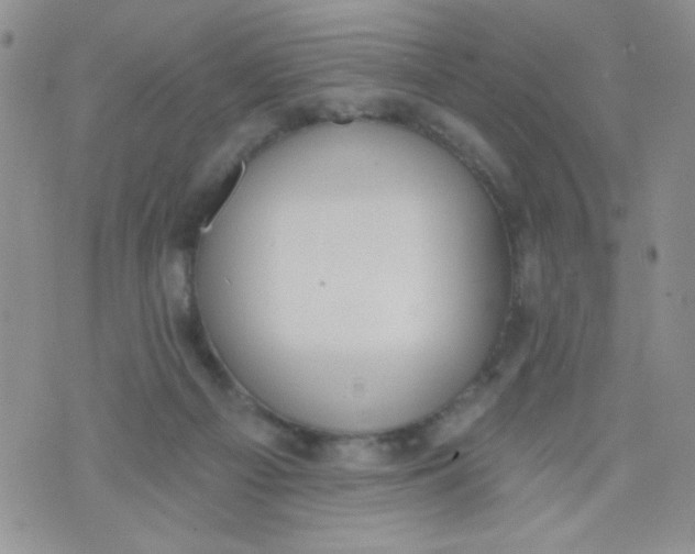 X0000074300121200609151951