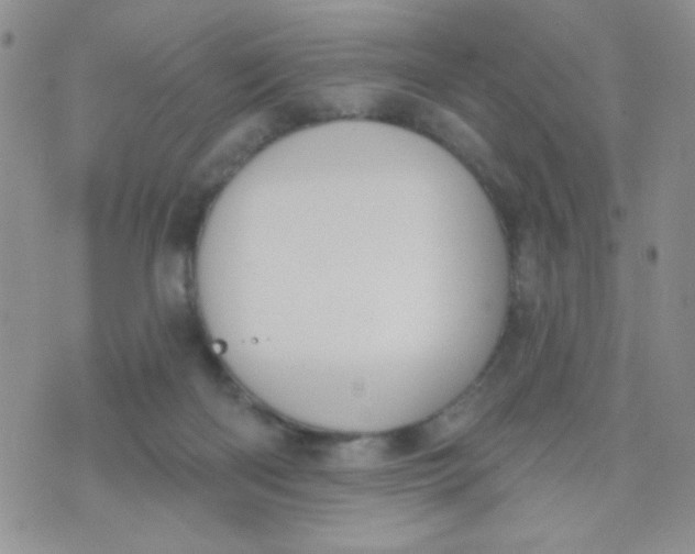 X0000074300122200609151951