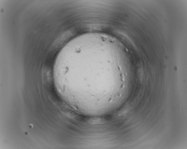 X0000074300123200609151951