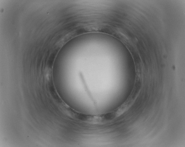 X0000074300125200609151951