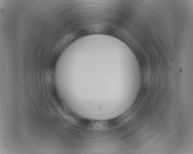 X0000074300126200609151951