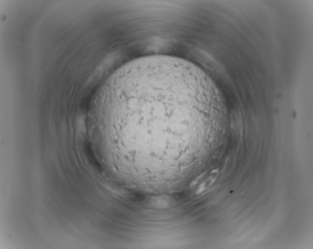 X0000074300127200609151951