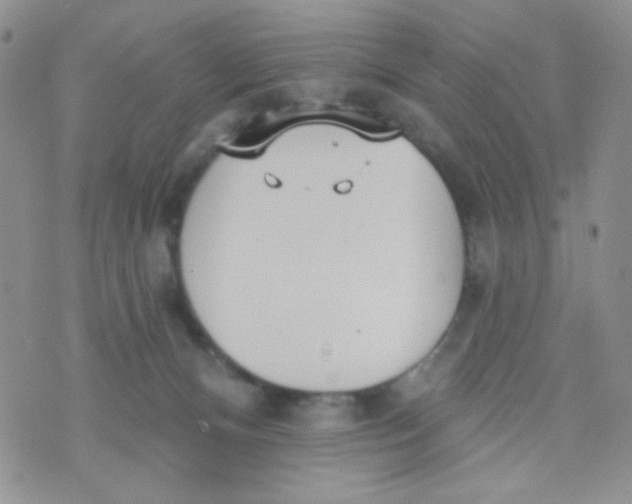 X0000074300128200609151951