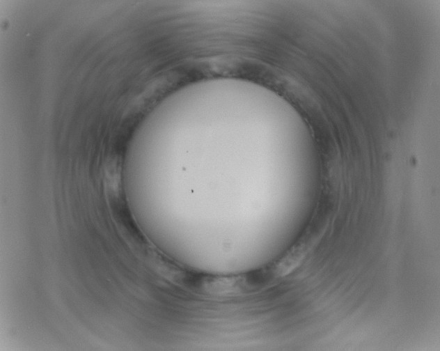 X0000074300129200609151951