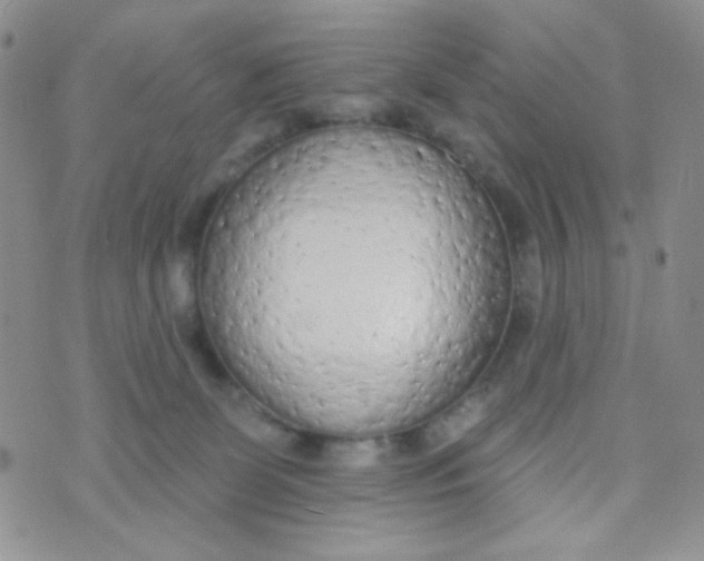 X0000074300131200609151951