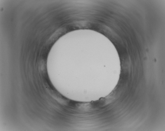 X0000074300132200609151951