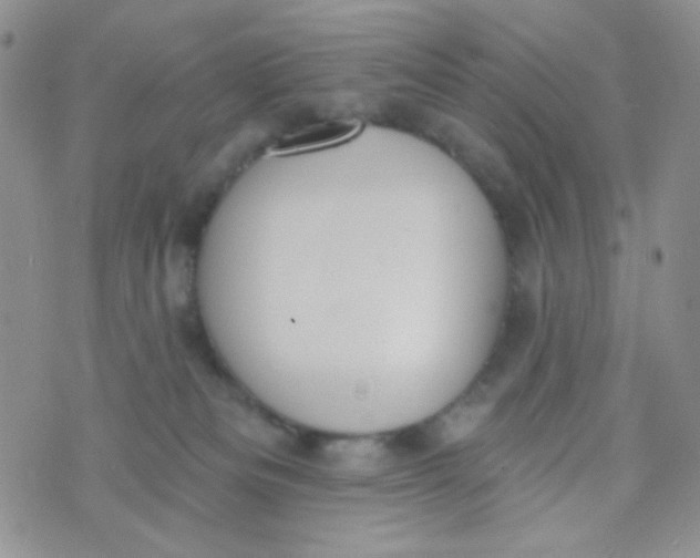 X0000074300133200609151951