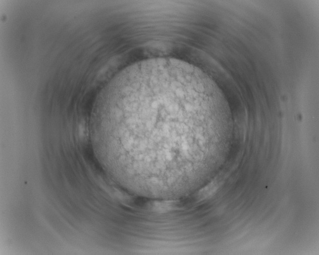 X0000074300134200609151951