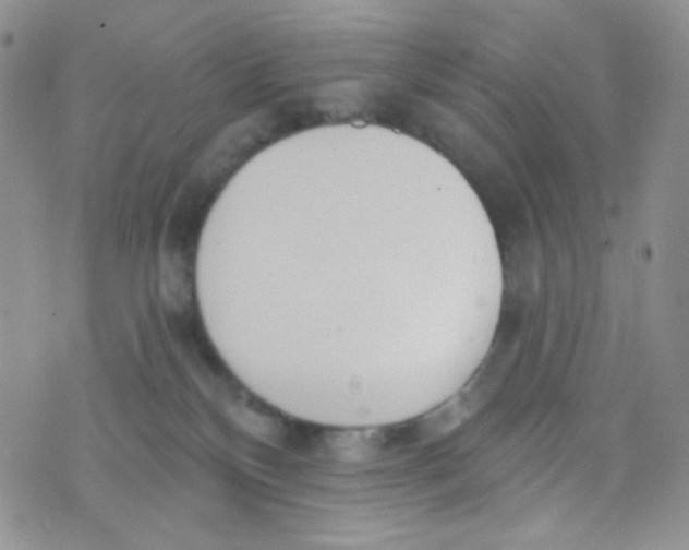 X0000074300136200609151951